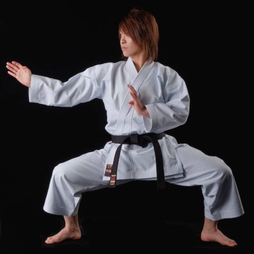 TOKAIDO YAKUDO 躍動 "TSA" Kata Karate gi (logofri) - MADE in JAPAN - 12 oz.