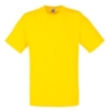 Fruit of the Loom t-shirt