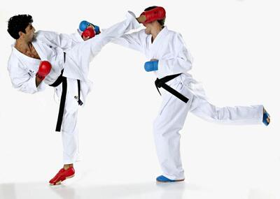 TOKAIDO KUMITE MASTER Karate gi - 8 oz - WKF